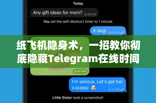 纸飞机隐身术,一招教你彻底隐藏Telegram在线时间,保护隐私必备指南-第1张图片-纸飞机Telegeram下载-纸飞机Telegeram官网 纸飞机隐身术,一招教你彻底隐藏Telegram在线时间,保护隐私必备指南-第1张图片-纸飞机Telegeram下载-纸飞机Telegeram官网