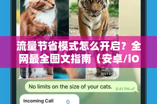 流量节省模式怎么开启？全网最全图文指南（安卓/iOS）-第1张图片-纸飞机Telegeram下载-纸飞机Telegeram官网