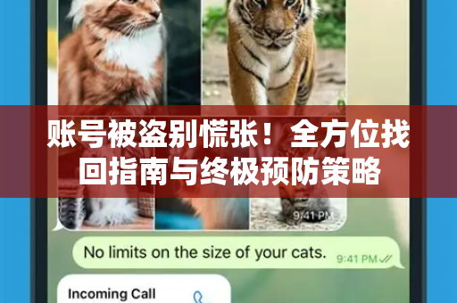 账号被盗别慌张！全方位找回指南与终极预防策略-第1张图片-纸飞机Telegeram下载-纸飞机Telegeram官网