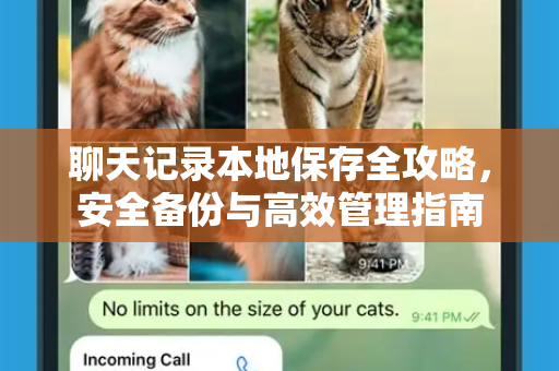 聊天记录本地保存全攻略，安全备份与高效管理指南-第1张图片-纸飞机Telegeram下载-纸飞机Telegeram官网