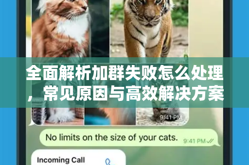 全面解析加群失败怎么处理，常见原因与高效解决方案指南