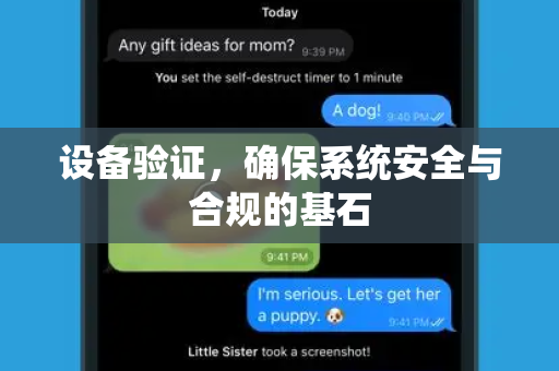 设备验证，确保系统安全与合规的基石-第1张图片-纸飞机Telegeram下载-纸飞机Telegeram官网