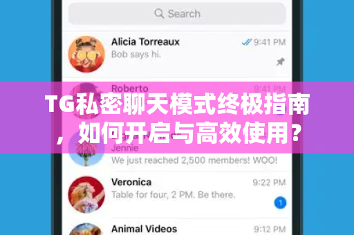TG私密聊天模式终极指南,如何开启与高效使用?-第1张图片-纸飞机Telegeram下载-纸飞机Telegeram官网 TG私密聊天模式终极指南,如何开启与高效使用?-第1张图片-纸飞机Telegeram下载-纸飞机Telegeram官网