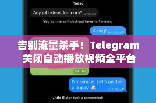 告别流量杀手!Telegram 关闭自动播放视频全平台详细教程-第1张图片-纸飞机Telegeram下载-纸飞机Telegeram官网 告别流量杀手!Telegram 关闭自动播放视频全平台详细教程-第1张图片-纸飞机Telegeram下载-纸飞机Telegeram官网
